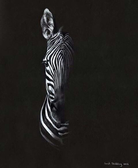 آموزش نقاشی سیاه قلم